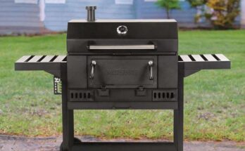 Why BBQs 2u is the Right Source to Buy Masterbuilt Ovens in the UK