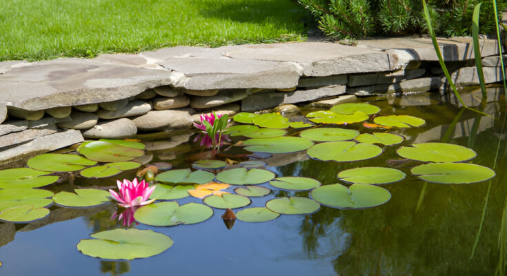 lake fountain