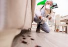 Cockroach Control Solutions for a Healthier Environment